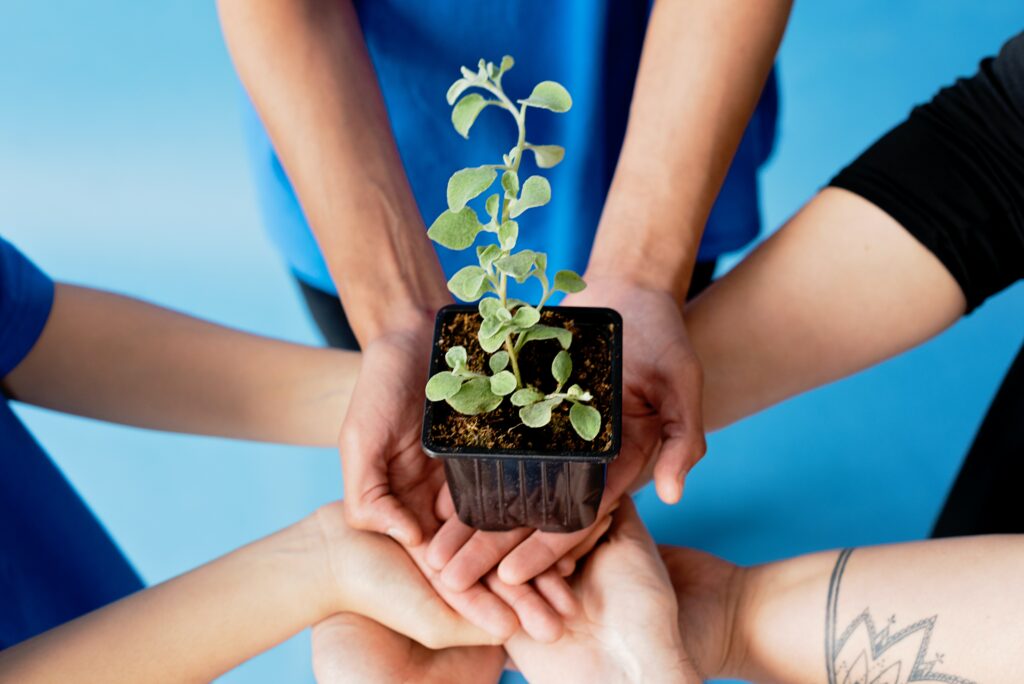 Imagem demonstrando como a consciência ecológica é um dos benefícios de viver perto da natureza